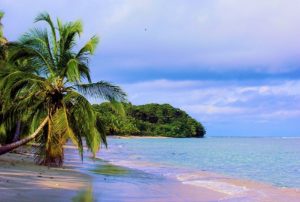Strand mit Palmen an der Karibikküste in Costa Rica