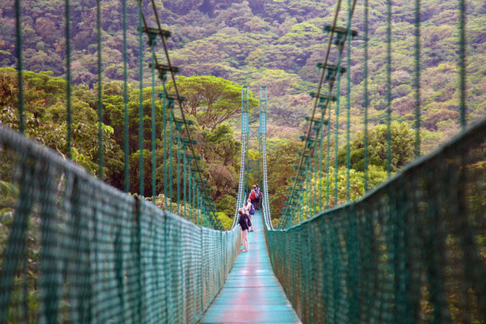 Hängebrücke in Costa Ricas Tropenwald