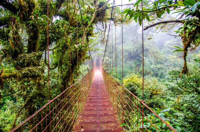 Monteverde Hängebrücke Costa Rica