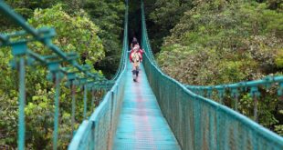 Hängebrücken in Monteverde